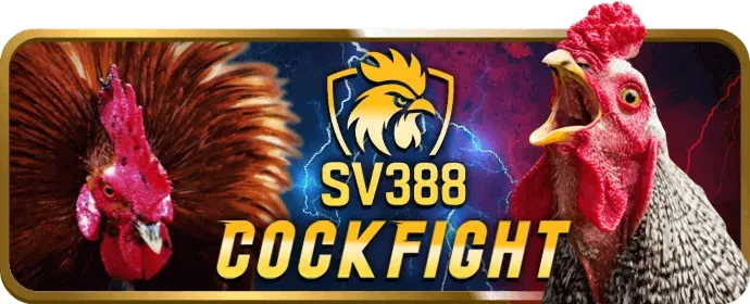 Khuyến mãi và ưu đãi độc quyền pp88 win